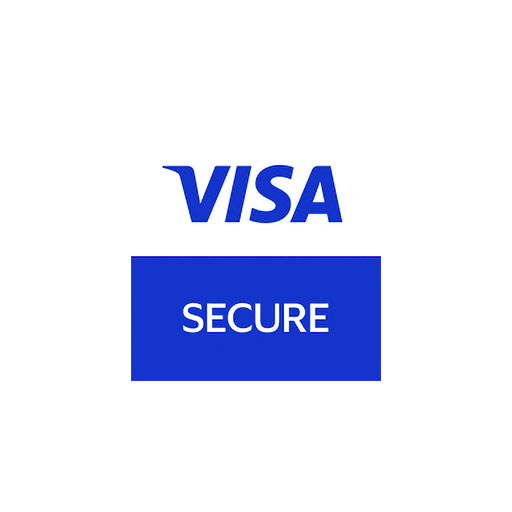 Visa secure icon